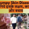 lumpy-virus-details-in-hindi
